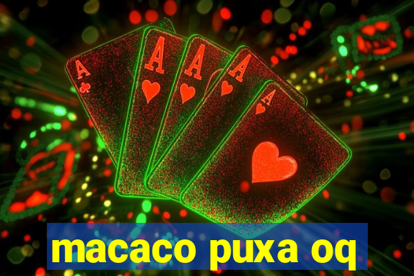 macaco puxa oq